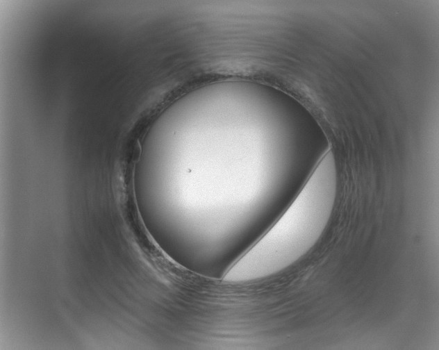 X0000070410688200606090956