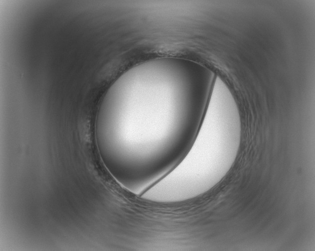 X0000070410689200606090956