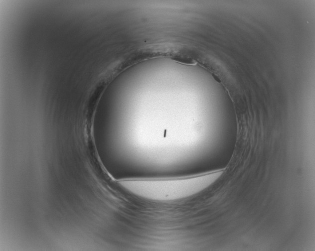 X0000070410692200606090956