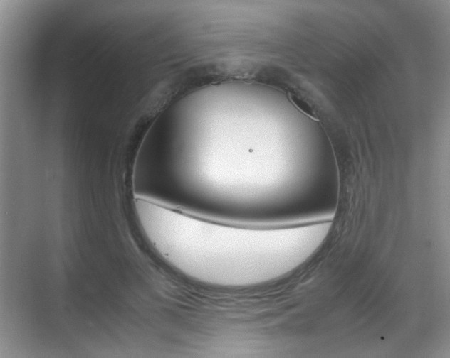 X0000070410693200606090956