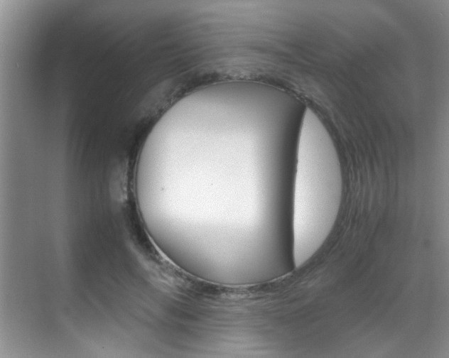 X0000070410694200606090956