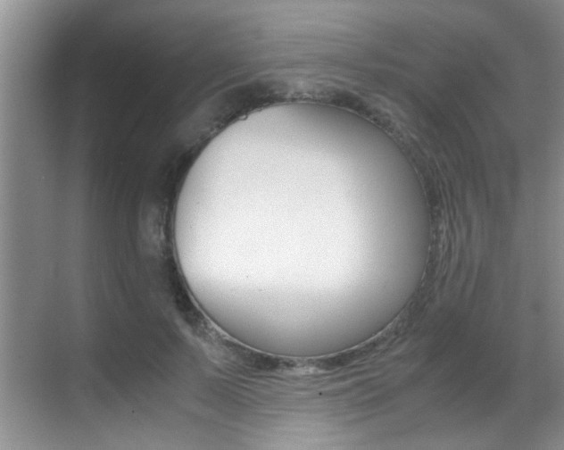 X0000070410695200606090956