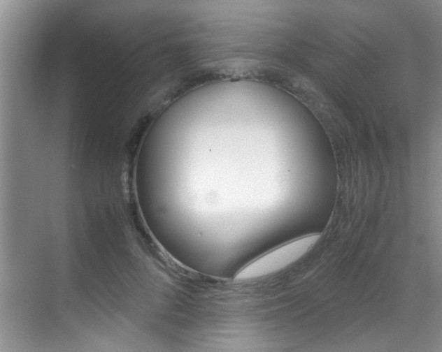 X0000070410696200606090956