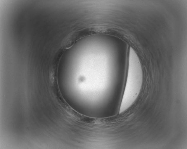 X0000070410697200606090956