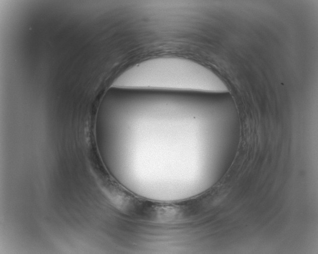 X0000070410698200606090956