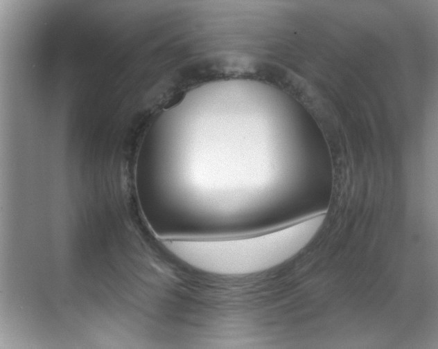 X0000070410704200606090956