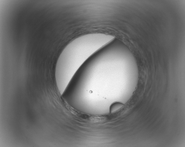 X0000070410707200606090955