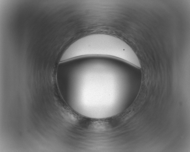 X0000070410708200606090955