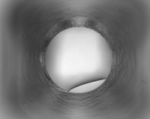 X0000070410709200606090955