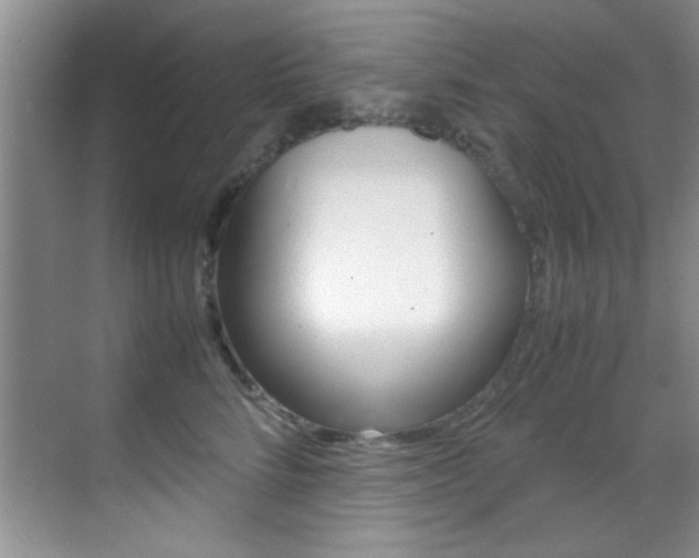 X0000070410712200606090955