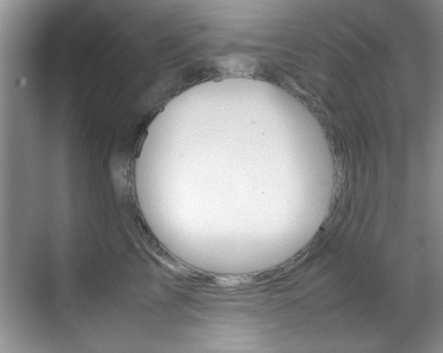 X0000070410713200606090955