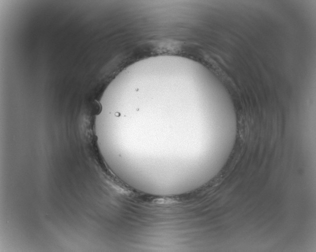 X0000070410714200606090955