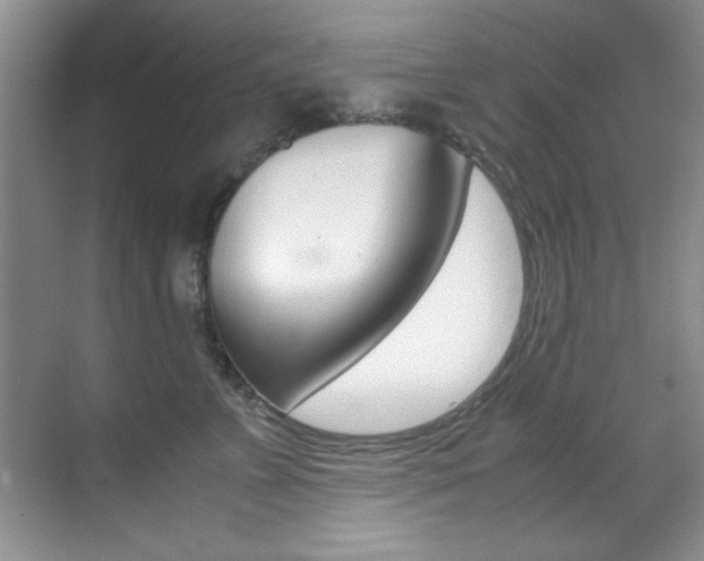 X0000070410715200606090955