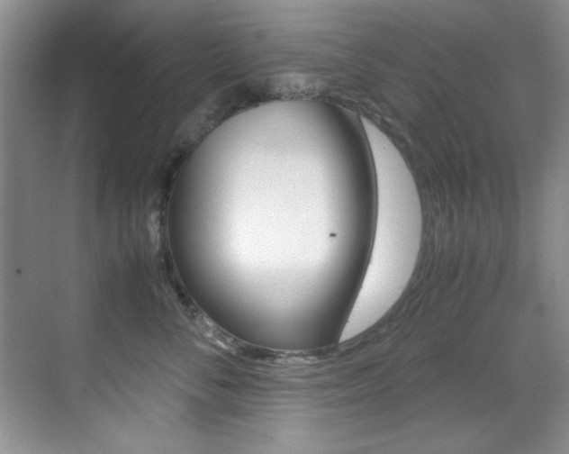 X0000070410716200606090955