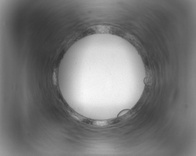 X0000070410717200606090955