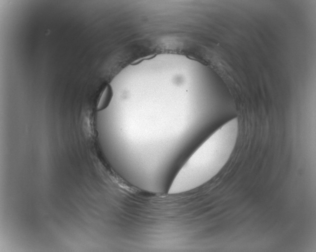 X0000070410718200606090955