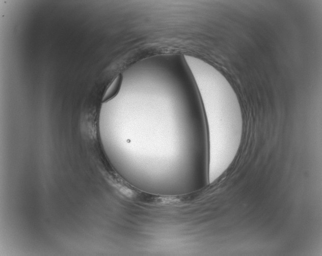 X0000070410719200606090955