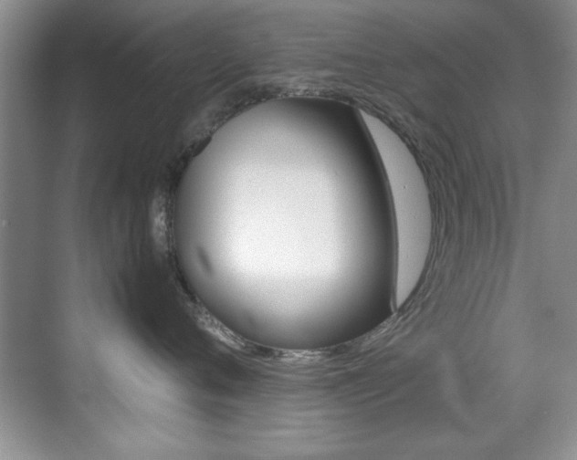 X0000070410720200606090955