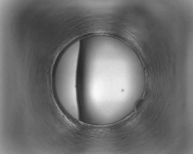 X0000070410721200606090954