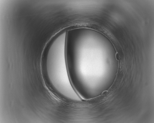 X0000070410722200606090954