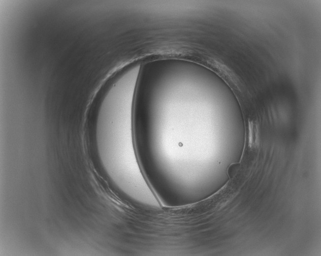 X0000070410723200606090955