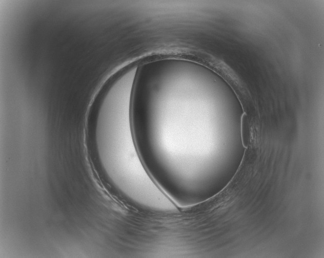 X0000070410724200606090955