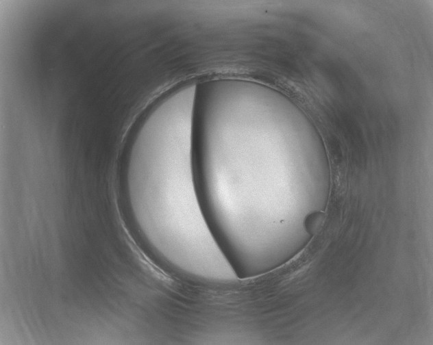 X0000070410725200606090955