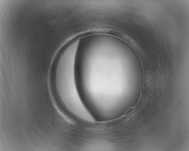 X0000070410726200606090955