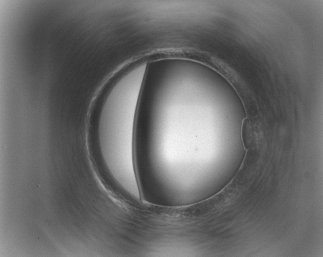 X0000070410728200606090955