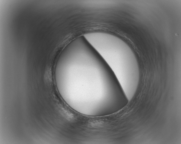 X0000070410729200606090955