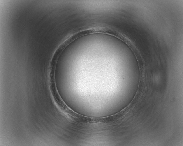 X0000070410730200606090955