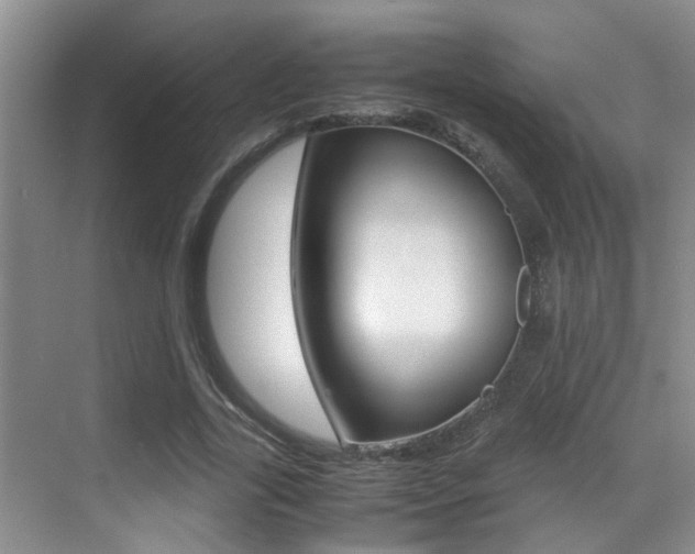 X0000070410731200606090955