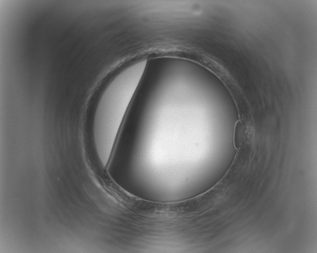 X0000070410732200606090955