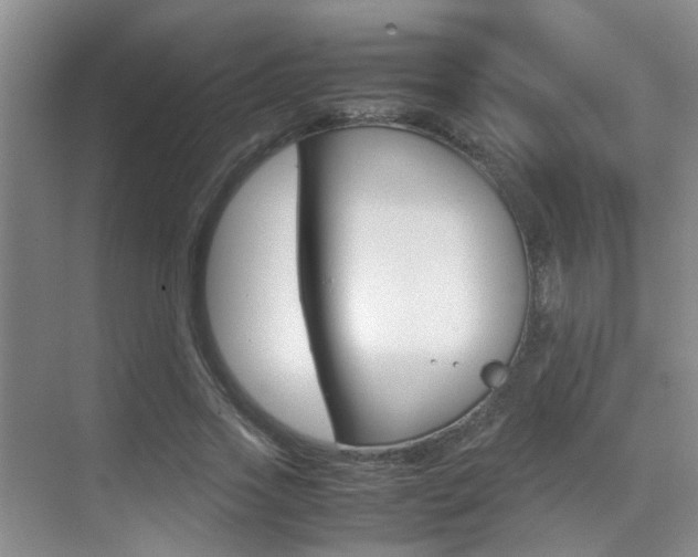 X0000070410733200606090955