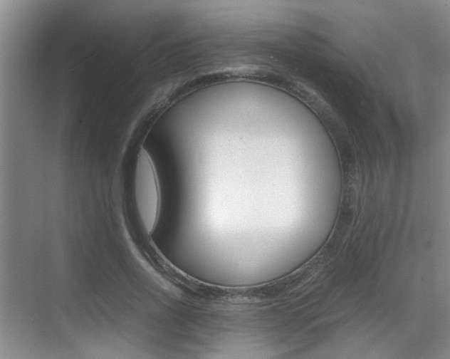 X0000070410734200606090955