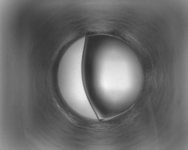 X0000070410735200606090955