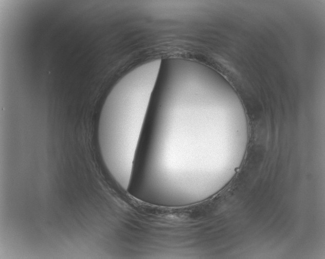 X0000070410737200606090955