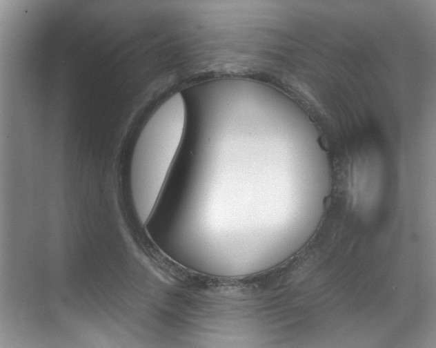 X0000070410738200606090955