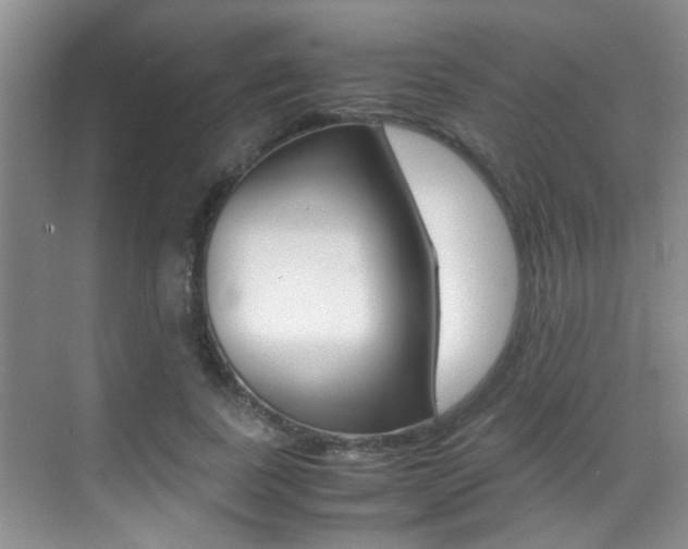 X0000070410739200606090955