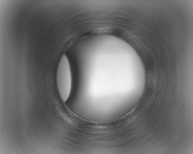 X0000070410741200606090955