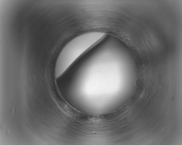 X0000070410742200606090955