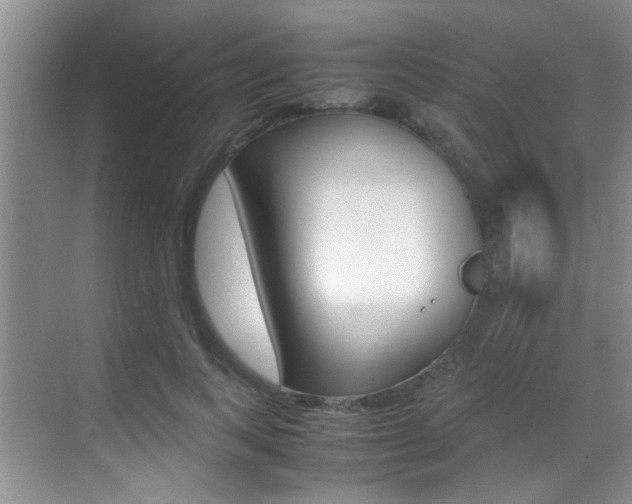 X0000070410743200606090955