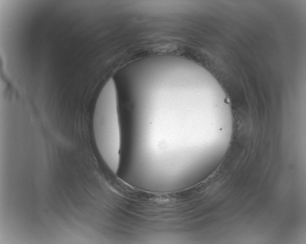 X0000070410745200606090955