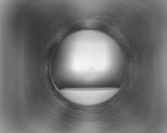 X0000070410746200606090955