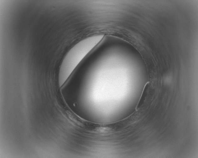 X0000070410748200606090955