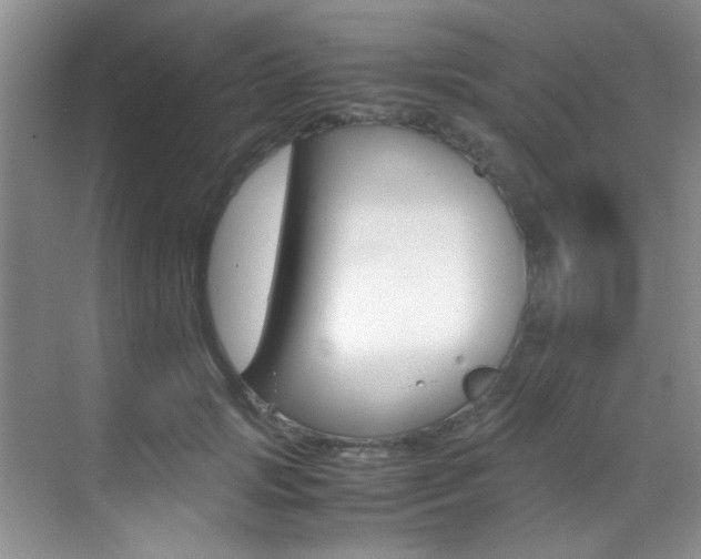 X0000070410749200606090955