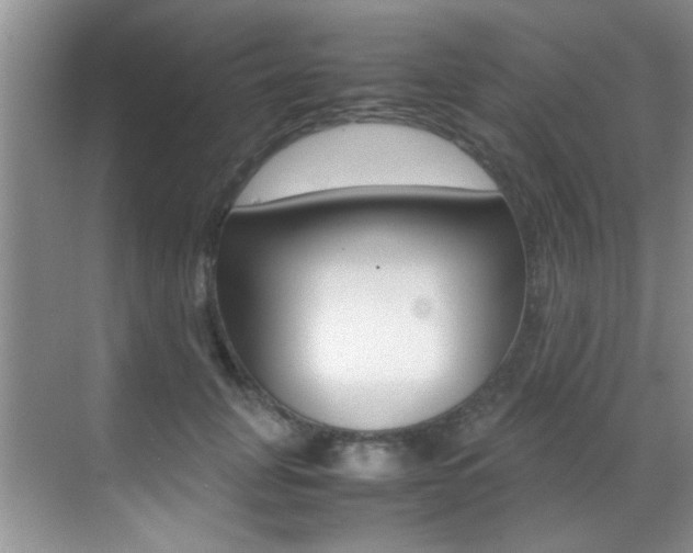 X0000070410751200606090955