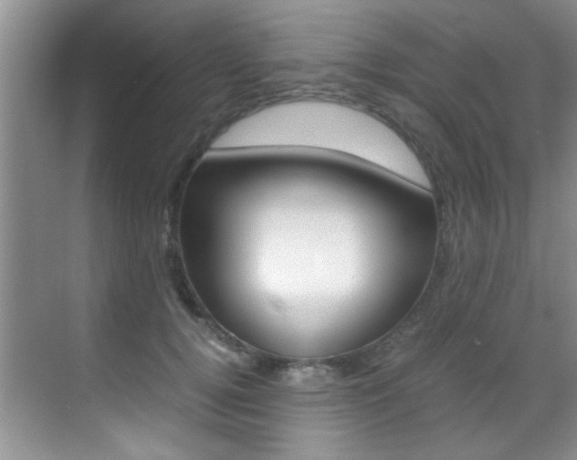 X0000070410752200606090955