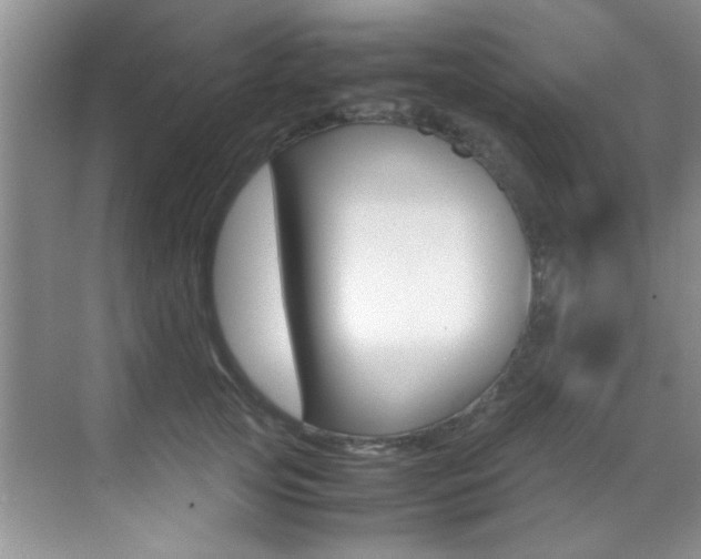 X0000070410753200606090955