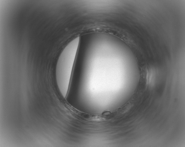 X0000070410754200606090955